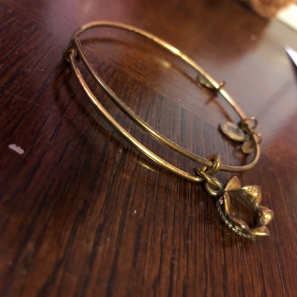 Alex and Ani Gold Crown Bracelet - Picture 1 of 2